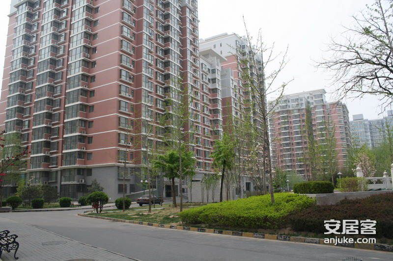 �콿԰����